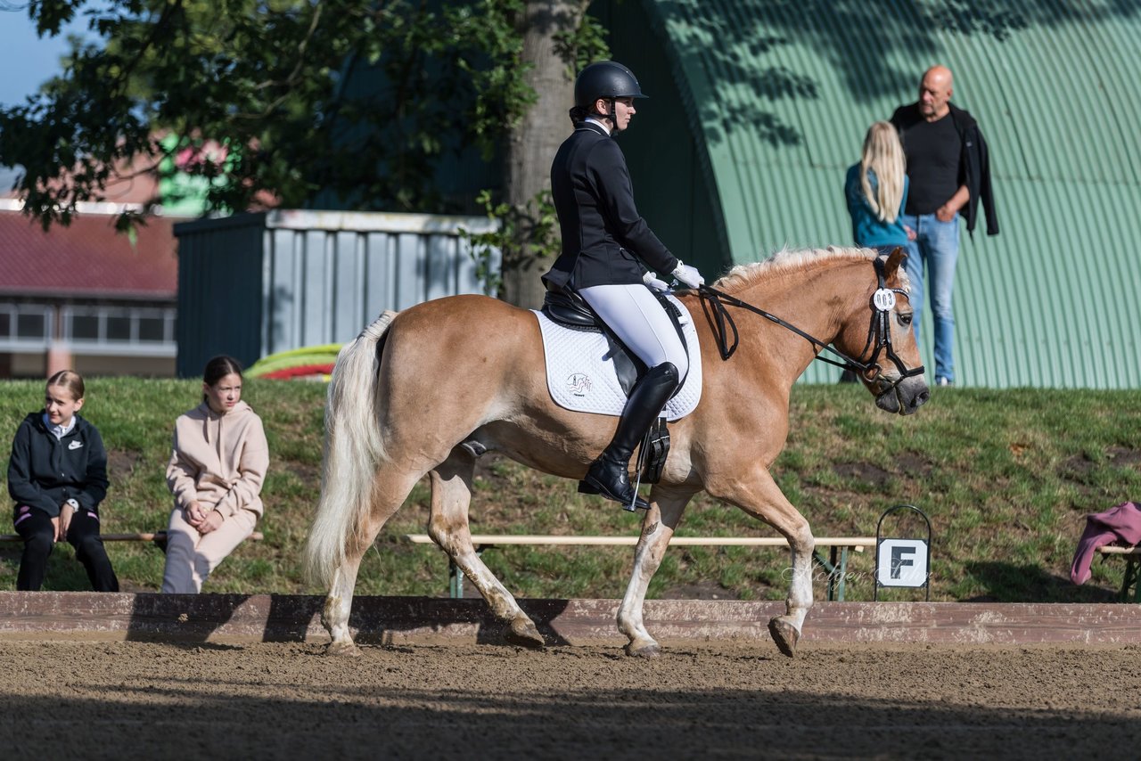 Bild 127 - Pony Akademie Turnier